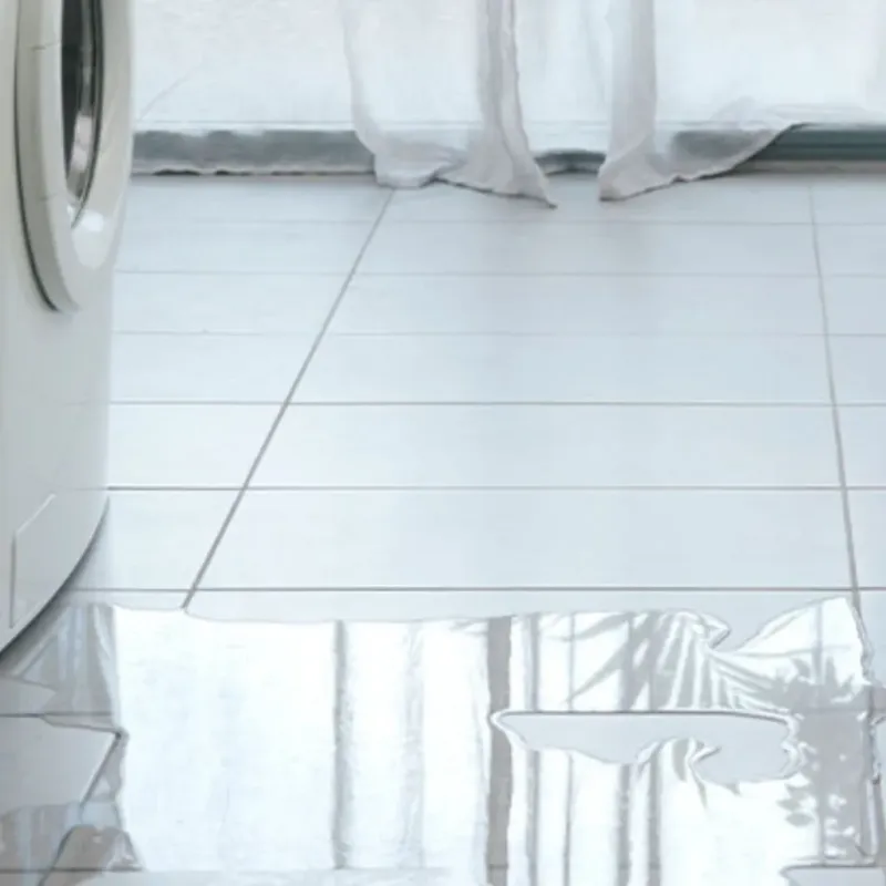 Appliance Leak Cleanup in Thomas County, GA