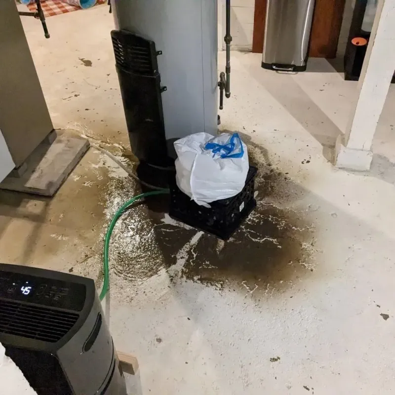 Sewage Backup Cleanup Service in Thomas County, GA
